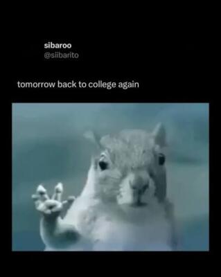 Close-up of a wide-eyed squirrel with a raised paw against a blurred blue background, caption tomorrow back to college again — Tornado Squirrel meme.