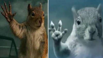 Split image of two Tornado Squirrel scenes: a brown squirrel and a gray squirrel each raising a paw against a stormy backdrop, appearing to halt a tornado.