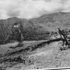 Black-and-white desert landscape with mountains, sparse shrubs, and a small blurred humanoid figure with bulging eyes and open mouth — Barf Simmons (meme).